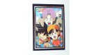 CARTE DRAGON BALL GT SERIE 1 N° 36