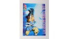 CARTE DRAGON BALL GT SERIE 2 N° 43