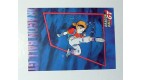CARTE DRAGON BALL GT SERIE 2 N° 76 