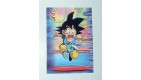 CARTE DRAGON BALL GT SERIE 2 N° 107 
