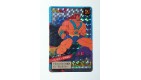 CARTE CARD DRAGON BALL Z JAPONAISE PRISM BANDAI  1995  N° 570 