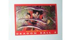 CARTE CARD DRAGON BALL Z SERIE 4 1989 SAN GOKU N° 62