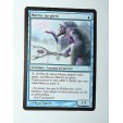 CARTE MTG MAGIC - VERSION FRANCAISE MARTYR AU GIVRE 