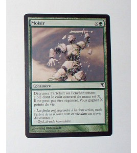 CARTE MTG MAGIC - VERSION FRANCAISE MOISIR