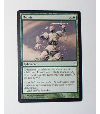 CARTE MTG MAGIC - VERSION FRANCAISE MOISIR