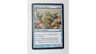 CARTE MTG MAGIC - VERSION FRANCAISE MIGNON DES MAREES
