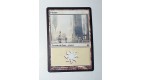 CARTE MTG MAGIC - VERSION FRANCAISE PLAINE 8  
