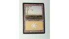 CARTE MTG MAGIC - VERSION FRANCAISE PLAINE 7 
