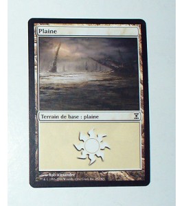 CARTE MTG MAGIC - VERSION FRANCAISE PLAINE 14 