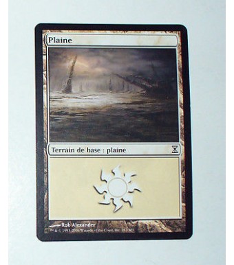 CARTE MTG MAGIC - VERSION FRANCAISE PLAINE 14 