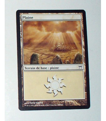 CARTE MTG MAGIC - VERSION FRANCAISE PLAINE 16