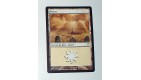 CARTE MTG MAGIC - VERSION FRANCAISE PLAINE 16