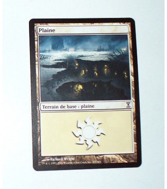 CARTE MTG MAGIC - VERSION FRANCAISE PLAINE 12