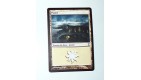 CARTE MTG MAGIC - VERSION FRANCAISE PLAINE 12