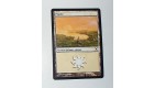 CARTE MTG MAGIC - VERSION FRANCAISE PLAINE 17 