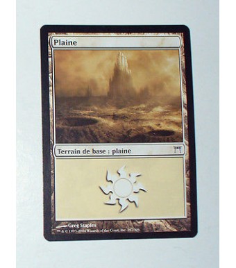 CARTE MTG MAGIC - VERSION FRANCAISE PLAINE 11