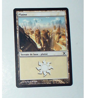 CARTE MTG MAGIC - VERSION FRANCAISE PLAINE 19  