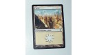 CARTE MTG MAGIC - VERSION FRANCAISE PLAINE 19  