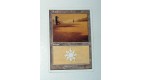 CARTE MTG MAGIC - VERSION FRANCAISE PLAINE 21