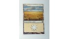 CARTE MTG MAGIC - VERSION FRANCAISE PLAINE 20 