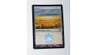 CARTE MTG MAGIC FOIL  - VERSION FRANCAISE PLAINE 22 
