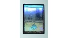 CARTE MTG MAGIC FOIL - VERSION FRANCAISE PLAINE 24