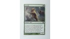 CARTE MTG MAGIC - VERSION FRANCAISE GRIZZLIS