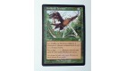 CARTE MTG MAGIC - VERSION FRANCAISE GRIFFES DE BRINBOIS