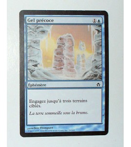 CARTE MTG MAGIC - VERSION FRANCAISE GEL PRECOCE  
