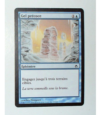 CARTE MTG MAGIC - VERSION FRANCAISE GEL PRECOCE  
