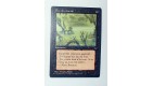 CARTE MTG MAGIC - VERSION FRANCAISE GAZ DES MARAIS 