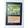 CARTE MTG MAGIC - VERSION FRANCAISE GAZ DES MARAIS 