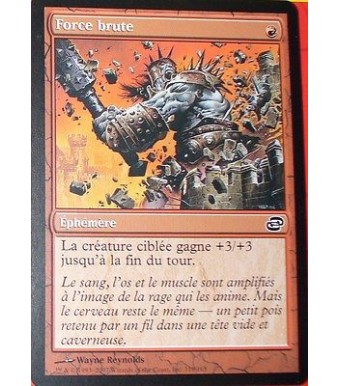 FORCE BRUTE - EPHEMERE  - VF - CARTE MTG MAGIC