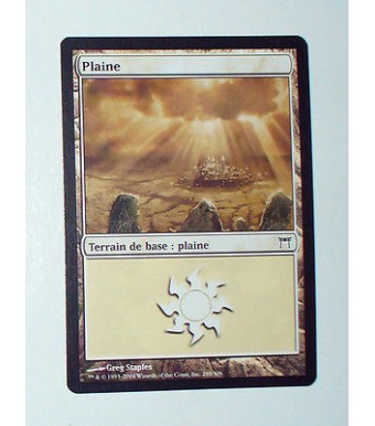 CARTE MTG MAGIC - VERSION FRANCAISE PLAINE 2