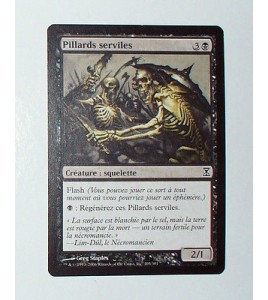CARTE MTG MAGIC - VERSION FRANCAISE PILLARDS SEERVILES