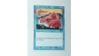 CARTE MTG MAGIC - VERSION FRANCAISE PIEUVRE GEANTE 