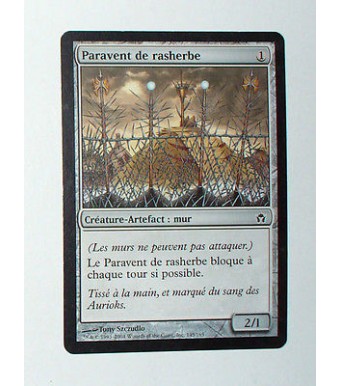 CARTE MTG MAGIC - VERSION FRANCAISE PARAVENT DE RASHERBE