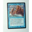 CARTE MTG MAGIC - VERSION FRANCAISE EROSION 