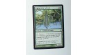 CARTE MTG MAGIC - VERSION FRANCAISE EXPLORATEUR SYLVOK