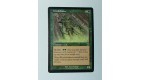 CARTE MTG MAGIC - VERSION ANGLAISE WOODCLOAKER 