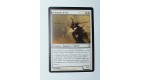 CARTE MTG MAGIC - VERSION FRANCAISE ZELATEUR IL-VEC 