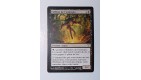 CARTE MTG MAGIC - VERSION FRANCAISE EIDOLON DE L'ENTROPIE