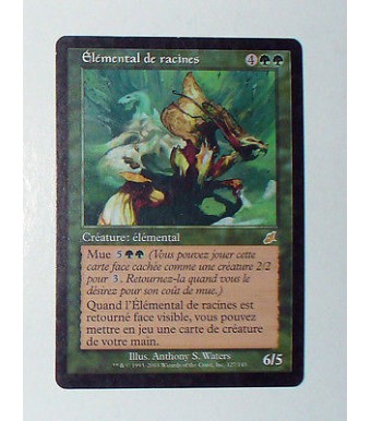 CARTE MTG MAGIC - VERSION FRANCAISE ELEMENTAL DE RACINES