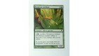 CARTE MTG MAGIC - VERSION FRANCAISE ECLAIREUR VIRIDIAN