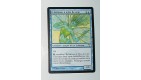 CARTE MTG MAGIC - VERSION FRANCAISE ECLAIREUSE A AILES DE SOIE 