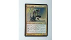 CARTE MTG MAGIC - VERSION FRANCAISE ECAILLESANG DE BRULEBRANCHE