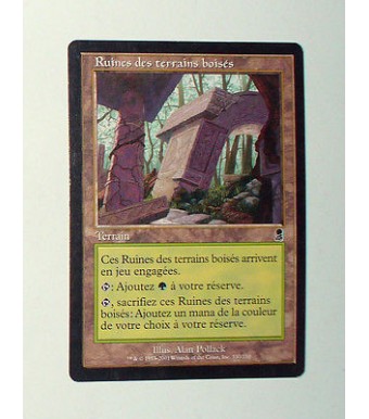 CARTE MTG MAGIC - VERSION FRANCAISE RUINE DES TERRAINS BOISES