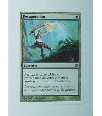 CARTE MTG MAGIC - VERSION FRANCAISE RECUPERATION 