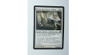 CARTE MTG MAGIC - VERSION FRANCAISE RECLUS DES PLAINES SALINES