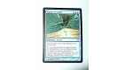CARTE MTG MAGIC - VERSION FRANCAISE TAMISER LE SABLE